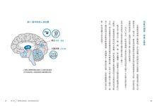 科學氣功: 李嗣涔博士30年親身實證, 每天10分鐘, 通經絡袪百病 (附DVD) - 圖片 5