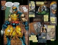 Wolverine: Prehistory - 圖片 3