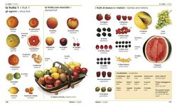 Italian English Bilingual Visual Dictionary - 圖片 3