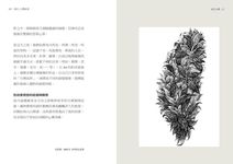 我的, 台灣家書 - 圖片 8