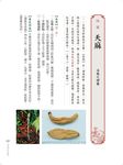李時珍說藥: 認識、活用本草綱目一一九味實用日常養生藥材 - 圖片 5