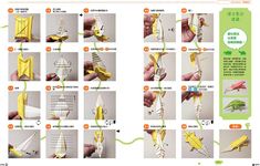 唯妙唯肖! 用一張色紙摺出擬真爬蟲類、兩棲類動物 - 圖片 6