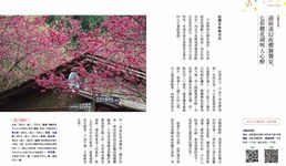 一年四季賞花輕旅行: 邂逅臺灣之美, 花現四季繽紛色彩 - 圖片 2
