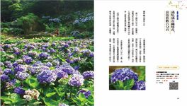 一年四季賞花輕旅行: 邂逅臺灣之美, 花現四季繽紛色彩 - 圖片 4