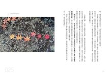 別讓現在的壞事, 趕走未來的好事 - 圖片 9