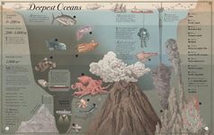 Highest Mountain, Deepest Ocean - 圖片 5