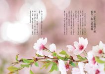 朵朵小語: 在心裡留一個地方愛自己 - 圖片 3