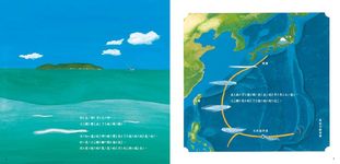 小鰻大冒險: 鰻的生命旅程 - 圖片 4