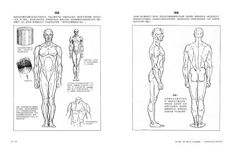 人體素描聖經: 素描就是觀看-從形體到律動, 畫出傳神寫照的12堂課 (收藏版) - 圖片 4