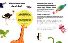What Do Animals Do All Day? - 圖片 2