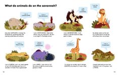 What Do Animals Do All Day? - 圖片 4
