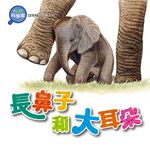 長鼻子和大耳朵 - 圖片 1