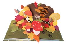 Leaves : An Autumn Pop-Up Book - 圖片 5