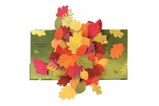 Leaves : An Autumn Pop-Up Book - 圖片 7