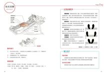 健美鍛鍊解剖書 - 圖片 6