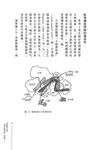 科學的思考九堂課: 學校不教的科學 - 圖片 8