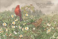 野鳥食堂 - 圖片 3