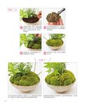 初學者也OK的森林原野系草花小植栽 - 圖片 6