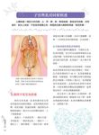 暖養子宮: 呵護女人的第六臟 - 圖片 2