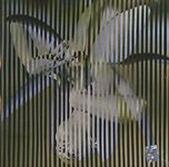 Always Ascending (180g Vinyl) - 圖片 2