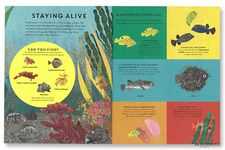 There are Fish Everywhere - 圖片 2
