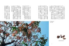 看不見的雨林: 福爾摩沙雨林植物誌 - 圖片 8