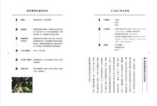 出杯的勝負! 芒果咖啡十六年小型連鎖創業奧義與你沒想過的烘豆經濟學 - 圖片 5