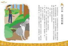 小戰馬 - 圖片 3
