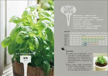 好種, 好用の香草調味盆栽: 16種香草植物的無農藥培育訣竅+42道在家就能做的主廚級經典食譜 - 圖片 3