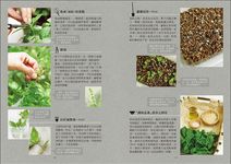 好種, 好用の香草調味盆栽: 16種香草植物的無農藥培育訣竅+42道在家就能做的主廚級經典食譜 - 圖片 4
