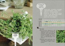 好種, 好用の香草調味盆栽: 16種香草植物的無農藥培育訣竅+42道在家就能做的主廚級經典食譜 - 圖片 6