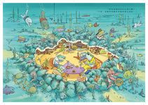 河狸歡迎來我家 - 圖片 5