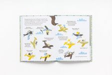 Amelia Earhart: Little Guides to Great Lives - 圖片 5