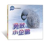 勇敢小企鵝 - 圖片 1