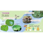 勇敢小企鵝 - 圖片 4