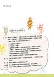 兔子阿姨露營記 - 圖片 5