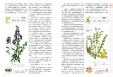 全彩圖說千金方: 白話解析, 彩色藥材圖照, 識藥辨方, 古今通用的防病養生食療 - 圖片 3