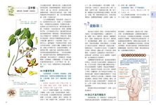 全彩圖說千金方: 白話解析, 彩色藥材圖照, 識藥辨方, 古今通用的防病養生食療 - 圖片 5