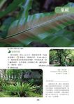 生活常見的花草樹木圖典百科 - 圖片 3