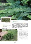 生活常見的花草樹木圖典百科 - 圖片 4