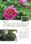生活常見的花草樹木圖典百科 - 圖片 5