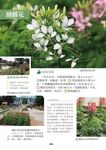 生活常見的花草樹木圖典百科 - 圖片 6