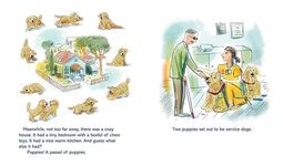 Mogie: The Heart of the House - 圖片 5