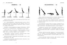 超越重力: 徒手肌力系統訓練&體操聖經 下 - 圖片 6