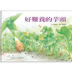 好難養的芋頭 - 圖片 1