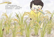 打氣粥 - 圖片 4