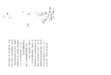 紐伯瑞文學獎精選套書 4 (4冊合售) - 圖片 4