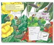 The Magic School Bus and the Butterfly Bunch - 圖片 2