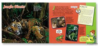 The Magic School Bus Presents: The Rain Forest - 圖片 3