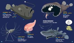 潛進深海 - 圖片 3